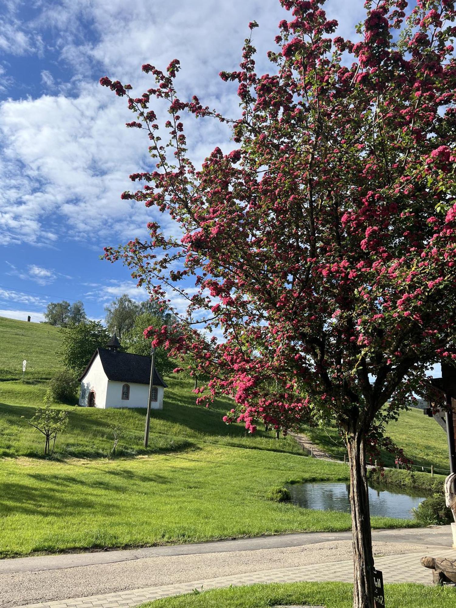 Kapellehof Ferienwohnungen Triberg im Schwarzwald Exterior photo