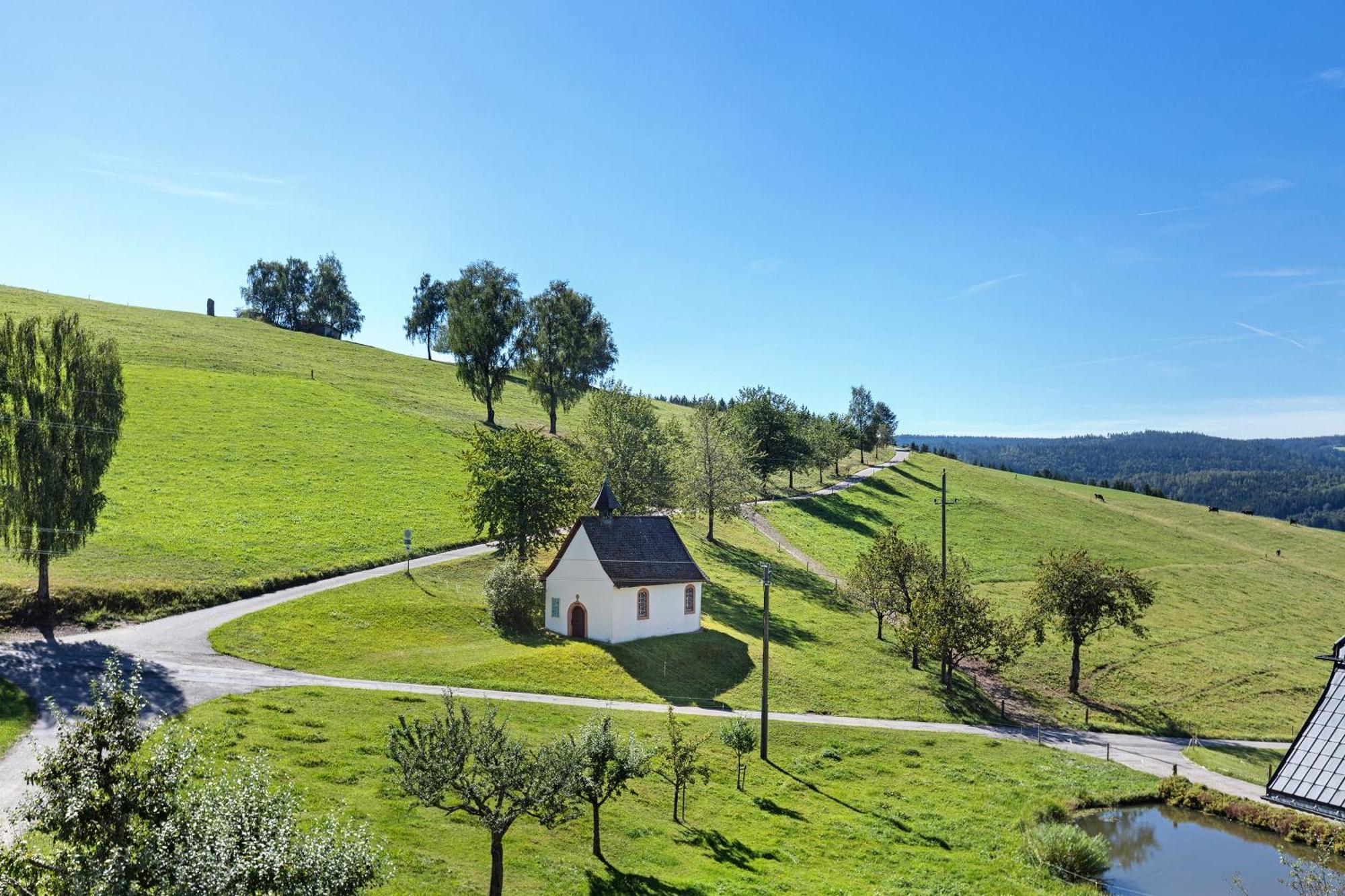 Kapellehof Ferienwohnungen Triberg im Schwarzwald Exterior photo